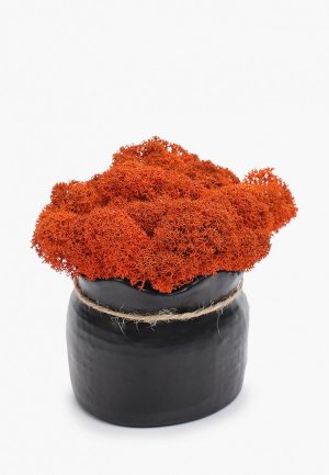 Фигурка декоративная Diego Ferru «Мешочек» из гипса, мох. Цвет: коричневый