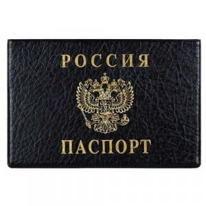 Обложка для паспорта , черный DPSkanc. Цвет: черный