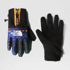 Перчатки Denali Etip Glove The North Face. Цвет: разноцветный