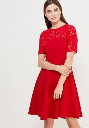 Платье Demurya Collection. Цвет: красный