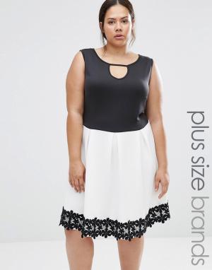 Короткое приталенное платье с отделкой кроше Plus Praslin. Цвет: черный