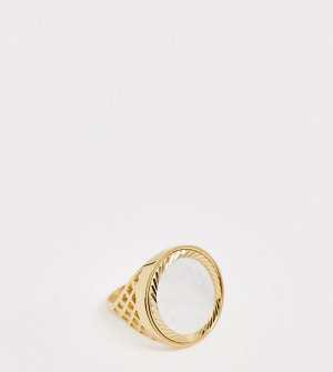 Серебряное позолоченное кольцо с совереном -Золотой Chained & Able