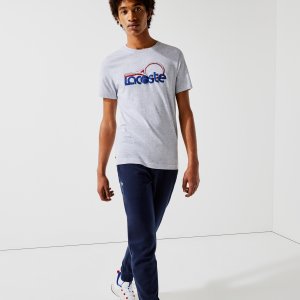 Футболки Мужская футболка SPORT с теннисным принтом Lacoste. Цвет: серый