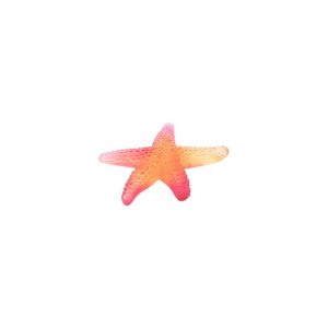 Скульптура Морская звезда Coral Sea Daum. Цвет: оранжевый
