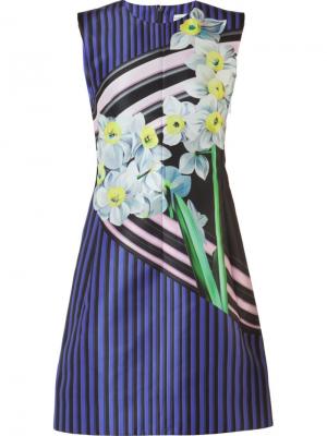 Коктейльное платье Dafodil с принтом Mary Katrantzou. Цвет: синий