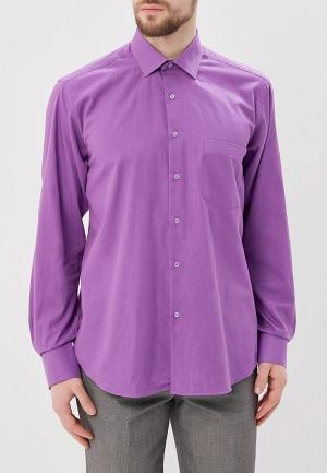 Рубашка Biriz. Цвет: фиолетовый
