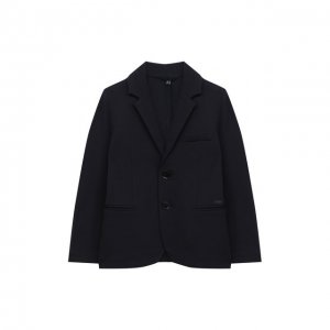 Пиджак Emporio Armani. Цвет: синий