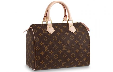 Женская сумка Speedy Louis Vuitton
