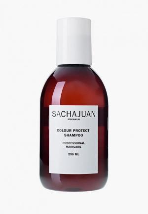 Шампунь Sachajuan для окрашенных волос 250 мл. Цвет: прозрачный