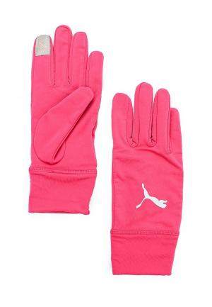 Перчатки PUMA PR Performance Gloves. Цвет: розовый