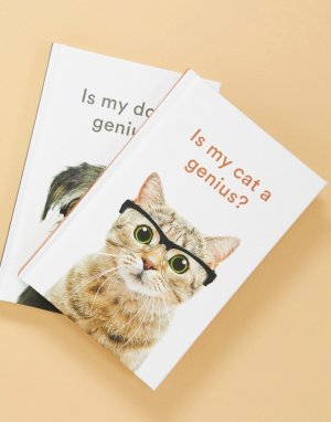 Книга Is My Cat a Genius?-Мульти Allsorted
