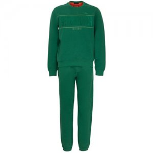 Костюм , свитшот и брюки, прямой силуэт, размер L, зеленый Aeronautica Militare. Цвет: зеленый