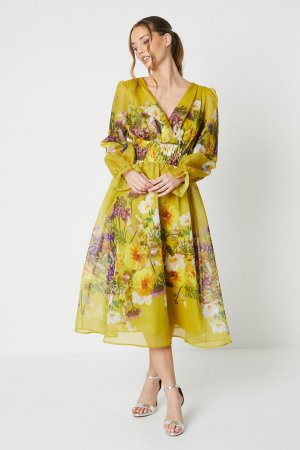 Платье миди из органзы с принтом и рукавами-блузонами , желтый Coast