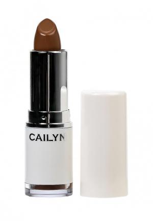 Помада Cailyn Pure Luxe Lipstick для губ, тон 20 Nutmeg, 5 гр.