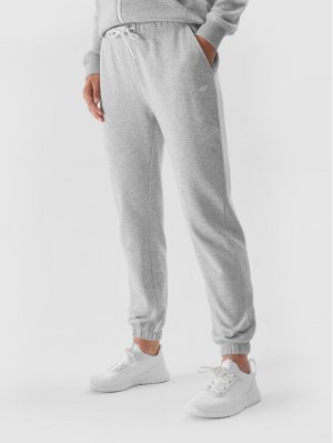 Спортивные брюки стандартного кроя , серый 4F
