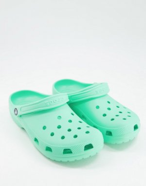 Классические клоги фисташкового цвета -Зеленый цвет Crocs