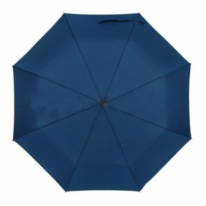 Зонт женский 2301 (ассортимент расцветок) RAINDROPS. Цвет: фиолетовый/голубой/оранжевый/коричневый/зеленый/розовый/синий