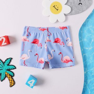 Для мальчиков Пляжные шорты с принтом фламинго SHEIN. Цвет: многоцветный