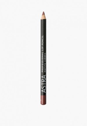 Карандаш для губ Astra PROFESSIONAL Lip Pencil, стойкий, тон 41 wood, 1.1 г. Цвет: коричневый