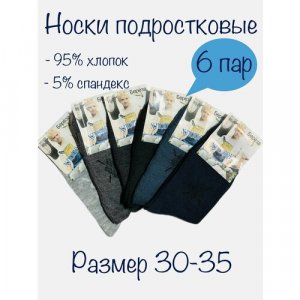 Носки для мальчиков, 6 пар, размер 30 - 35, мультиколор Береза. Цвет: черный/серый/синий/черный