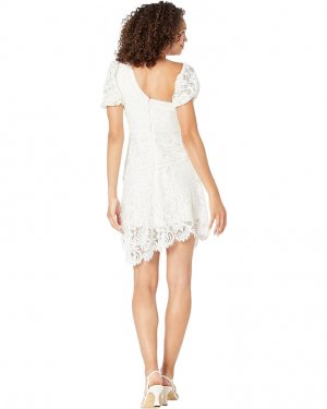 Платье Scalloped Lace Dress, белый BCBGMAXAZRIA
