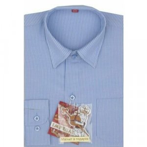 Школьная рубашка , размер 98-104, голубой Imperator. Цвет: голубой