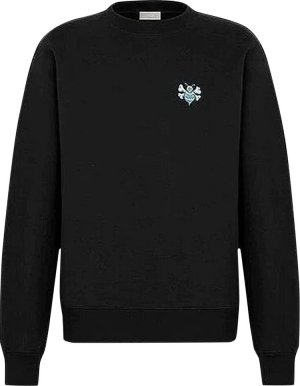 Толстовка x Shawn Stussy Bee Embroidred Oversized Sweatshirt 'Black', черный Dior