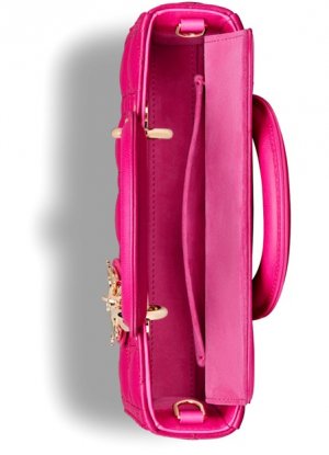 Маленькая сумка Lady D-Joy Dior