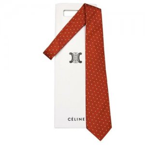 Темно-оранжевый галстук 70103 Celine. Цвет: оранжевый