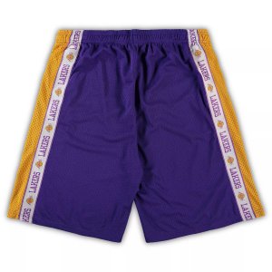 Мужские фирменные шорты из сетки Los Angeles Lakers фиолетового/золотого цвета с лентой Big & Tall Fanatics