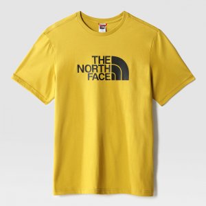 Мужская футболка Easy Tee The North Face. Цвет: золотой