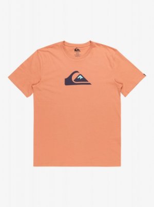 Мужская футболка Comp Logo QUIKSILVER. Цвет: абрикосовый