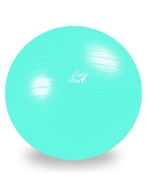 Мяч гимнастический 65 см Easy Body. Цвет: голубой