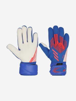 Перчатки вратарские Predator, Голубой adidas. Цвет: голубой