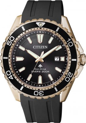 Мужские часы BN0193-17E Citizen
