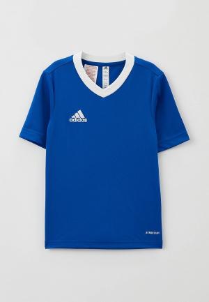 Футболка спортивная adidas ENT22 JSY Y. Цвет: синий