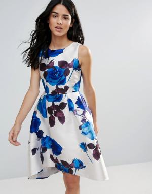 Короткое приталенное платье с крупным цветочным принтом Zibi London. Цвет: мульти