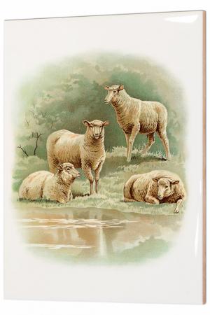 Керамическая картина Овцы Glambers. Цвет: мультицвет