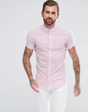 Узкая рубашка в розовую полоску Aces Couture. Цвет: розовый