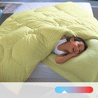 Синтетическое одеяло COLOR, 300 г/м² REVERIE. Цвет: зеленый анис,фиалковый,шоколадно-каштановый