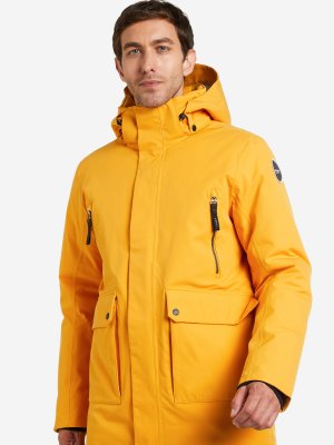 Куртка утепленная мужская Alberton, Желтый IcePeak. Цвет: желтый
