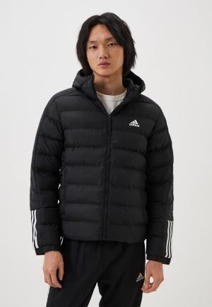 Куртка утепленная adidas ITAVIC M H JKT. Цвет: черный