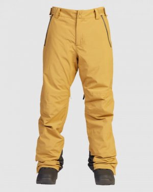 Сноубордические штаны BILLABONG Compass. Цвет: желтый