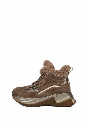 Ботинки Pierre Cardin. Цвет: коричневый