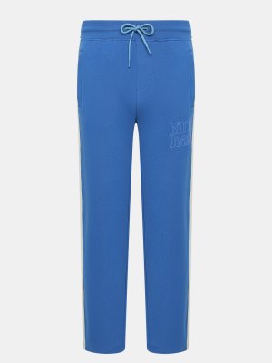 Спортивные брюки Ritter Jeans. Цвет: синий