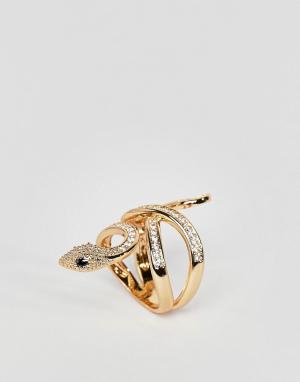 Золотистое кольцо с отделкой в виде змеи -Золотой ALDO