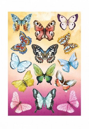 Наклейка декоративная Decoretto Большие дневные бабочки. Цвет: разноцветный