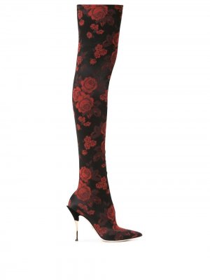Ботфорты с жаккардовым узором розами Dolce & Gabbana. Цвет: черный