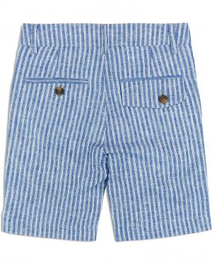Шорты Trouser Shorts, цвет Cabana Stripe Appaman