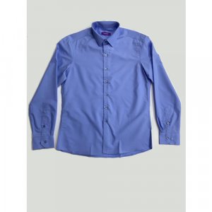 Рубашка , размер M, синий Carat. Цвет: синий